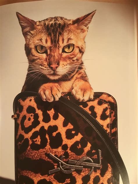 cat print louis vuitton fake|false louis vuitton prints.